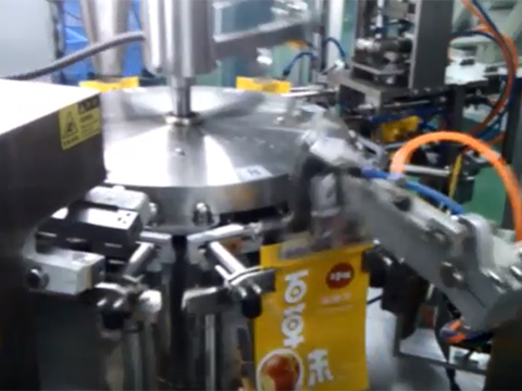 Rotary Nut Pouch Filling Machine With Horizontal Pouch Feeder