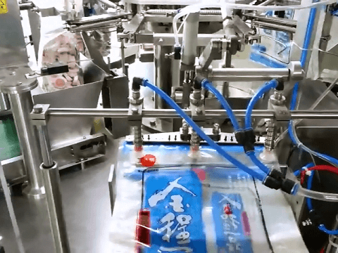 Rotary Frozen Food Pouch Packing Machine