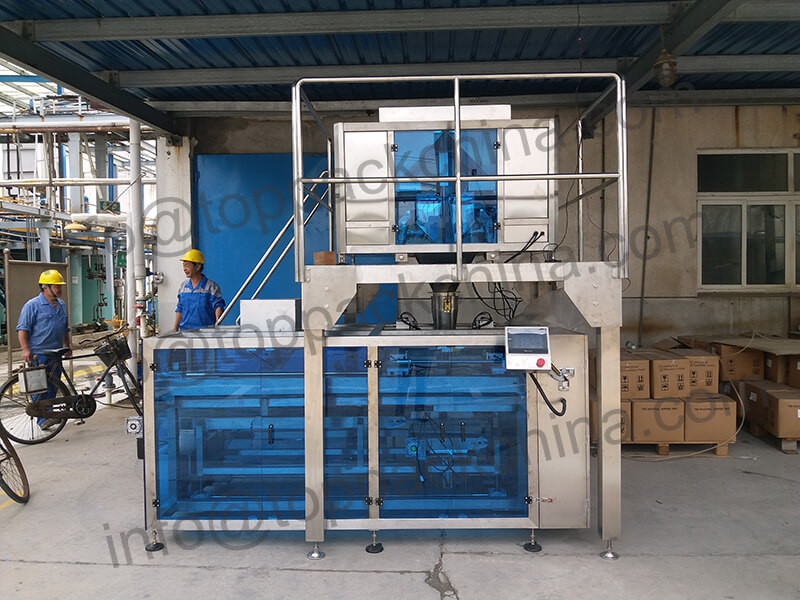 5kg, 10kg Pemade Bag Filling Sealing Packing Machine